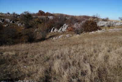 Прикрепленное изображение: A58DSC01527-1.jpg